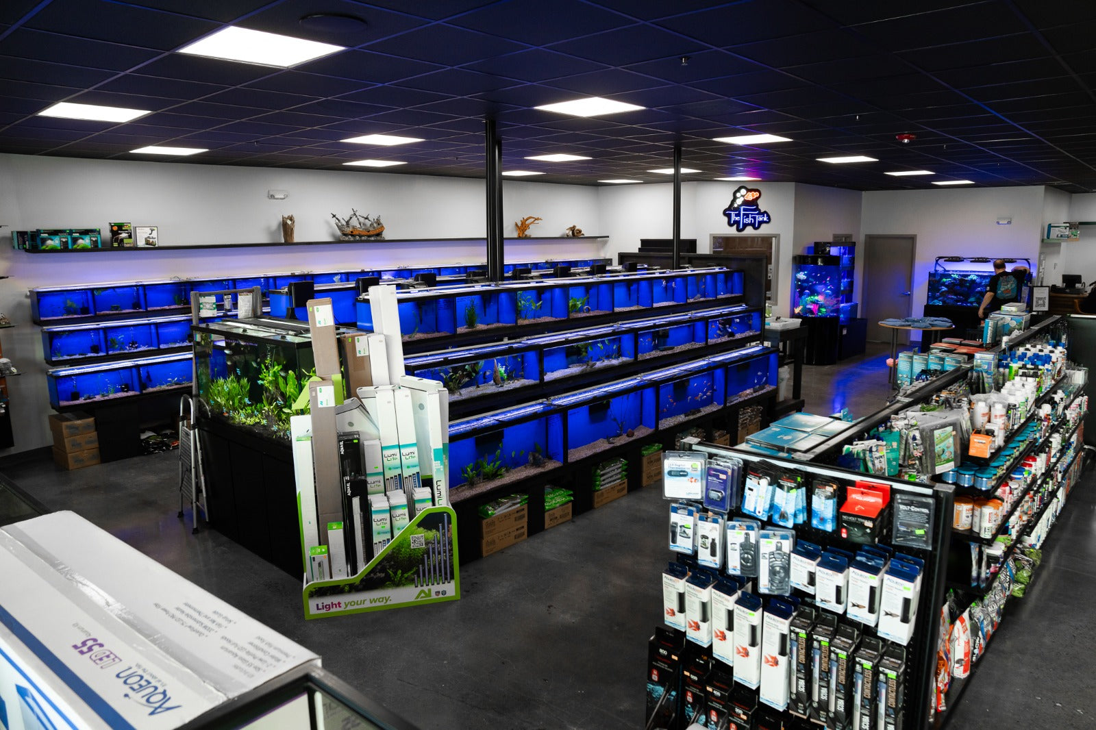 fish tank accessories shop near me Aqueon Aquarium Essentials Kit, 29-gal The Top Fin Premium Glass Aquarium will provide a clean and desirable environment for your fish The Fish Tank
