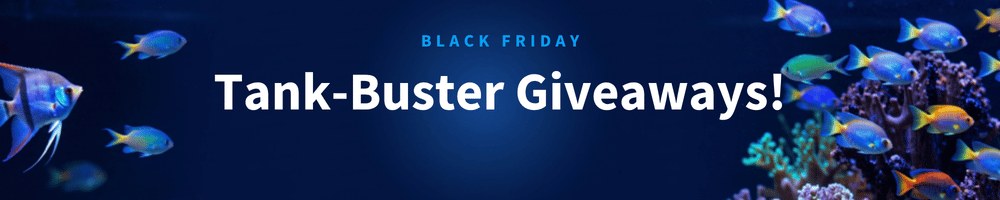 Black Friday giveaways banner