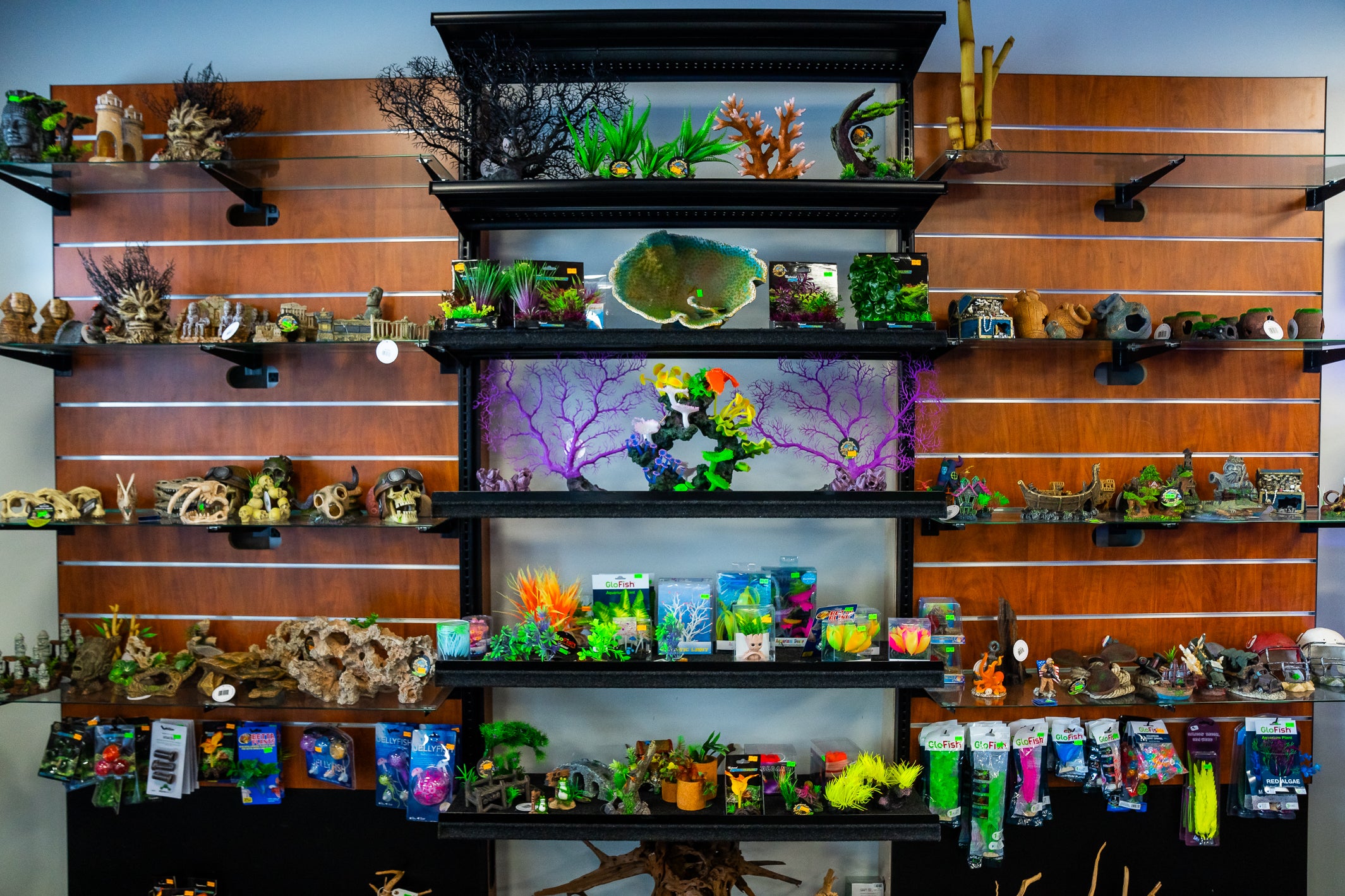 Product we Carry | thefishtankdb
