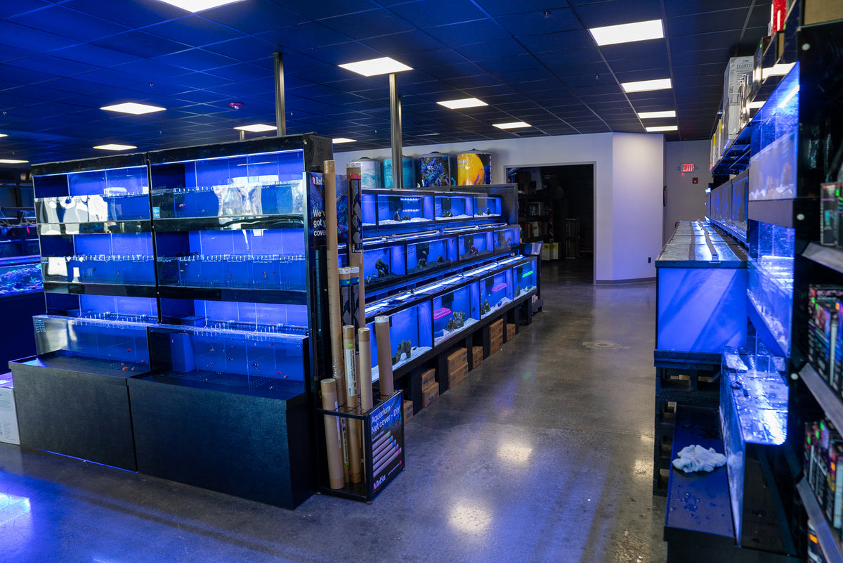Products | thefishtankdb